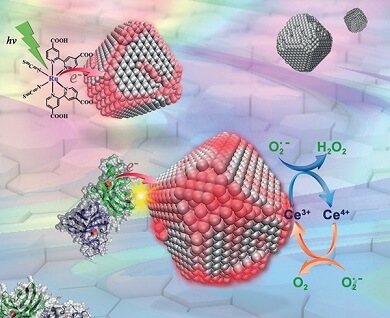 项目论文|磁性纳米材料在磷酸化肽段和糖基化肽段高效富集上的应用-ACS Sustainable Chemistry & Engineering-201903