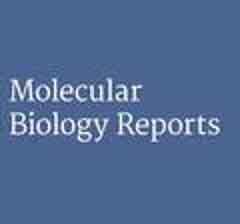 2019-扇贝可溶性蛋白磷酸化修饰的鉴定和特性分析-中国海洋大学-Molecular Biology Reports（IF:2.06）