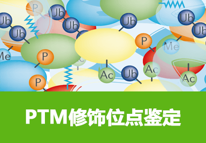 PTM位点质谱分析