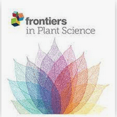 2021-拟南芥系统获得性抗性的磷酸化修饰蛋白质组学分析-商丘师范学院-Frontiers in Plant Science(IF:5.75)