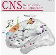 2021-SerpinA3N 通过减少细胞凋亡和神经炎症来减轻缺血性中风损伤-海军医科大学-Cns Neuroscience & Therapeutics（IF:5.24）